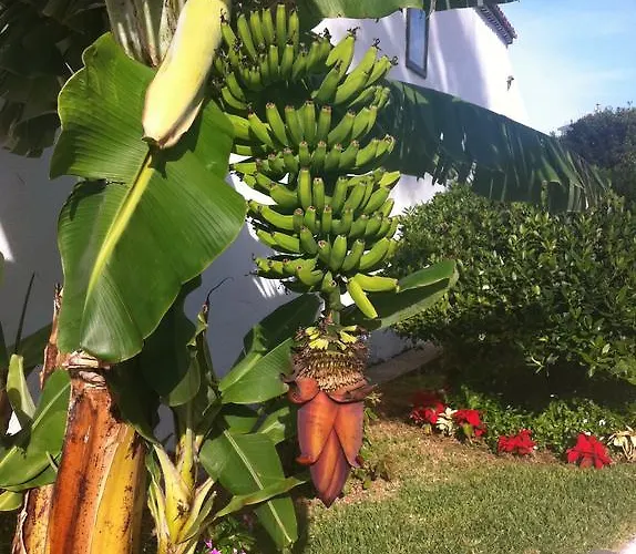 דירה Eden Island Village *